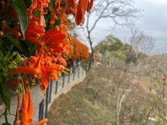 -桃花涧