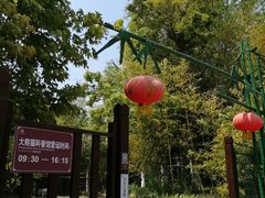 -苏州太湖国家湿地公园