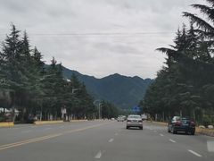-沣峪口