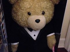 -济州岛泰迪熊博物馆