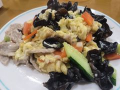 -鹤乡东北菜(崮山路店)