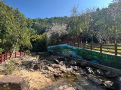 -广州白江湖森林公园