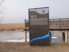 -野鸭湖国家湿地公园