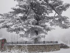 -秦岭终南山世界地质公园翠华山景区