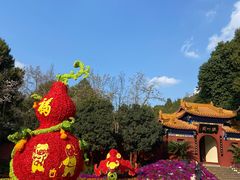 -富乐山