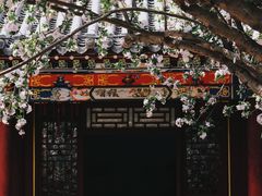-荣国府