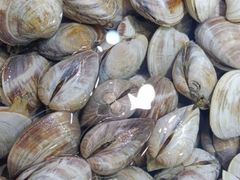 -济南海鲜大市场