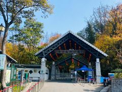 -南京老山国家森林公园
