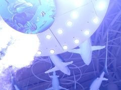 -烟台海昌鲸鲨海洋公园