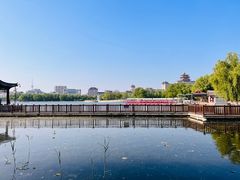 -莲花池公园