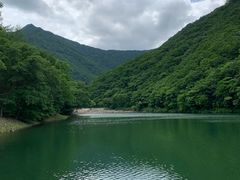-龙道沟景区