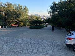 -府君山公园