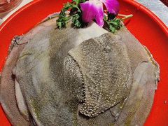 -二荆条·蜀鲜汇城市森林火锅