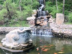 -大连天门山国家森林公园