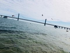 -星海湾跨海大桥