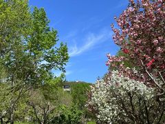 -春晖园度假酒店温泉