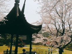 -缥缈峰景区