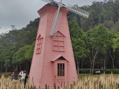 -顺峰山公园