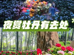 -仁和公园(顺义区)