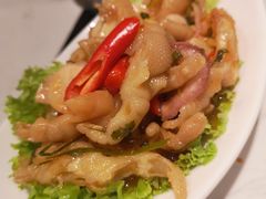 酸辣无骨凤爪-滕记星发餐室·新加坡菜(巨鹿路店)