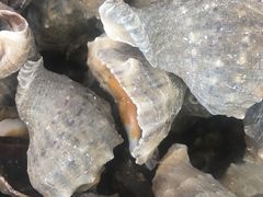 -渔家小院观海海肠捞饭地方菜(环海中路店)