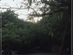 -草庵摩尼教遗址公园