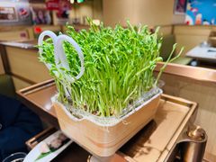 -海底捞火锅(正大乐城店)
