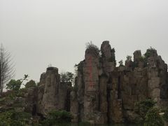 -秀丽东方