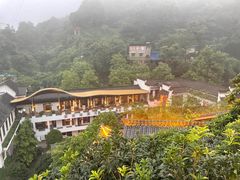 -巴倒烫陆派火锅山庄(南山总店)