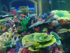 -成都浩海立方海洋公园