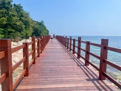 -养马岛旅游度假区