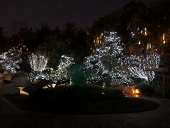 -七彩云南古滇温泉山庄