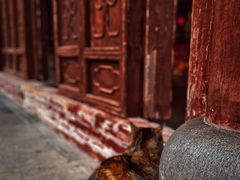 -龙华寺