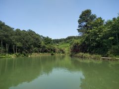 -铁山坪森林公园