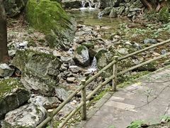 -牛背梁国家森林公园