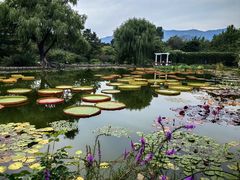 -国家植物园南园