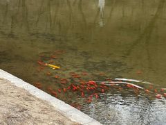 -白水寺森林公园