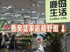 -鹿岛生活(熙地港店)