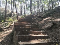 -黔灵山公园