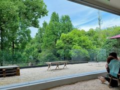 -J Create城市露营咖啡·简餐·宠物(上海动物园店)