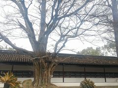 -苏州碑刻博物馆