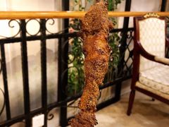 红柳羊肉串-新疆兵团食府清真(马连道店)