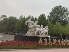 -秦皇岛野生动物园