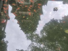 -绳金塔