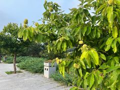 -天津盘山风景名胜区