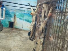 -昆明动物园