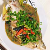 宅家懒人菜谱 | 随便烧都好吃的红烧鱼🐟