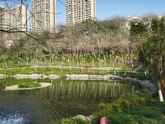 -重庆彩云湖湿地公园