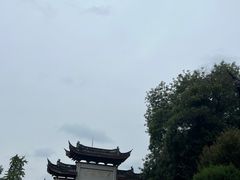 -鸡鸣赐茶(鸡鸣寺路店)