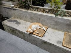 -知亘茶食
